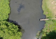 Çamurda koronavirüs tespit edildi