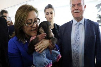 Can, Belediye Başkanı Şahin&#039;e zor anlar yaşattı