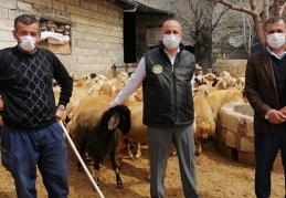 Canlı hayvan ihracatının durdurulması, Gaziantep hayvancılığına darbe vurur