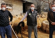 Canlı hayvan ihracatının durdurulması, Gaziantep hayvancılığına darbe vurur