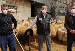 Canlı hayvan ihracatının durdurulması, Gaziantep hayvancılığına darbe vurur