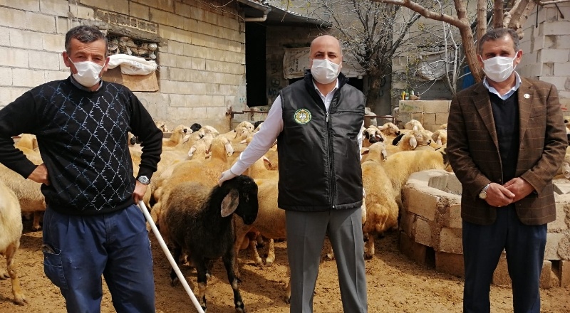 Canlı hayvan ihracatının durdurulması, Gaziantep hayvancılığına darbe vurur