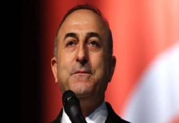 Çavuşoğlu: 'Karlov'un ismini sokağa vereceğiz'