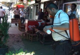 Çaycının haşereyle mücadelesi