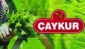 ÇayKur’un kaçak çayla mücadelesi sürüyor