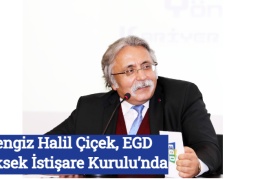 Cengiz Halil Çiçek, EGD Yüksek İstişare Kurulu’nda