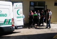 Ceviz ağacından düşen kişi öldü