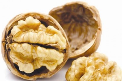 Ceviz Alzheimer&#039;ı önlüyor