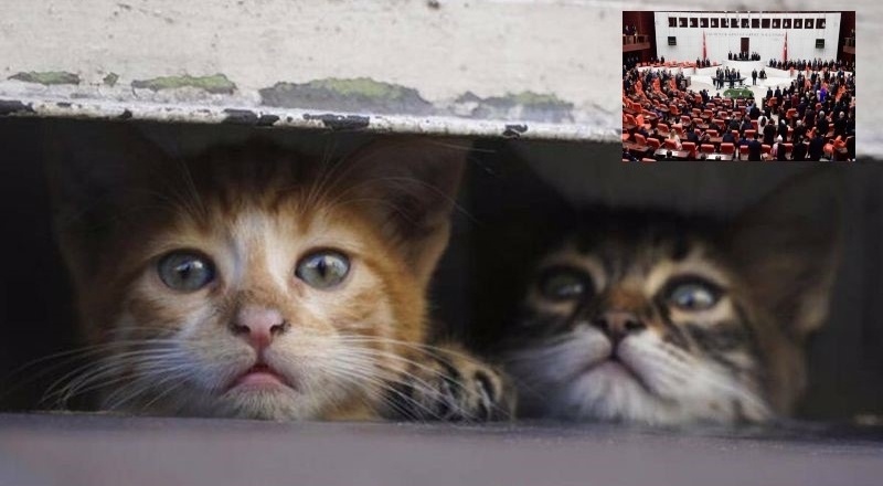 CHP ve MHP, onlar için 'ortaklaştı'