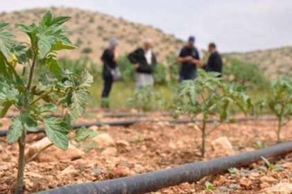 CHP&#039;den çiftçi borçlarına "Kuraklık Ertelemesi" teklifi