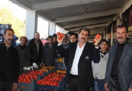 CHP’li başkandan domates üreticisine tepki