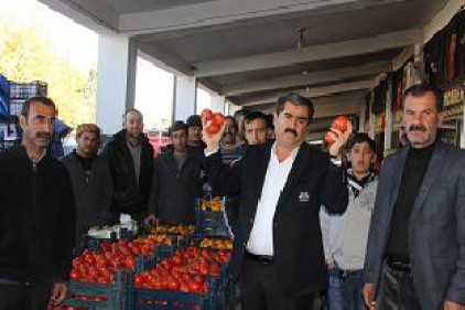 CHP&#8217;li başkandan domates üreticisine tepki
