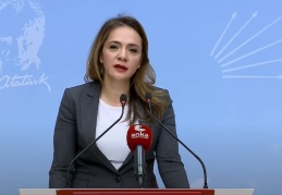 CHP'li İlgezdi'den 18 yaş altı doğum raporu: 'Açıkça çocuk istismarı var'