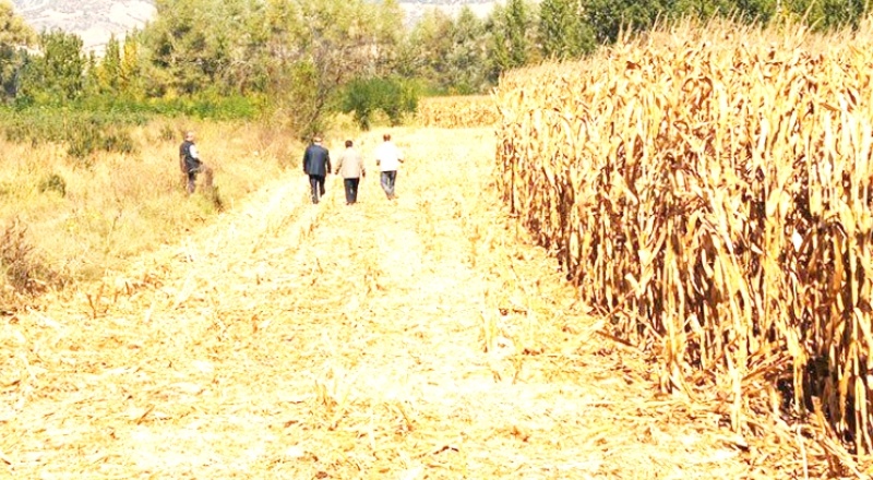 CHP'li Sarıbal: 1.350 liraya çiftçinizden aldığınız mısırı şimdi 2.100 liraya ithal edeceksiniz...