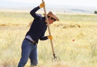 Çiftçi, 180 milyar lira borçlu