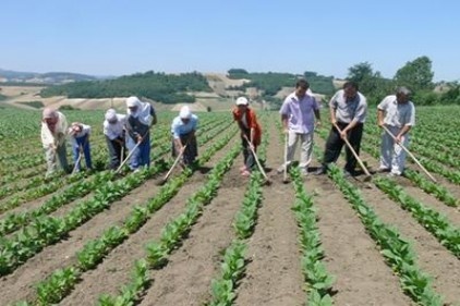 Çiftçi borçları bir yıl süreyle ertelendi