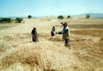 Çiftçi borcuna sadık