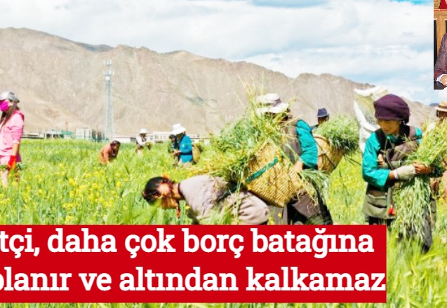 Çiftçi, daha çok borç batağına saplanır ve altından kalkamaz