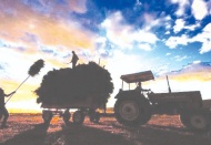 Çiftçi maliyetler altında ezilirken, İsviçre’ye peynir, et ve çikolata imtiyazı tanındı