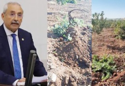 Çiftçi toprağını ekemiyor