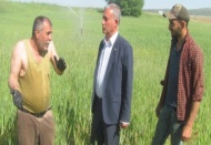 Çiftçiler Günü'nü tarlada çalışarak kutladılar 
