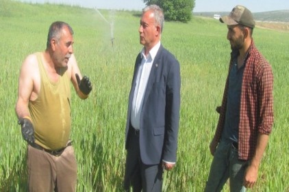 Çiftçiler Günü&#039;nü tarlada çalışarak kutladılar 