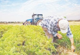Çiftçiler için haciz uygulaması yeniden başlayacak