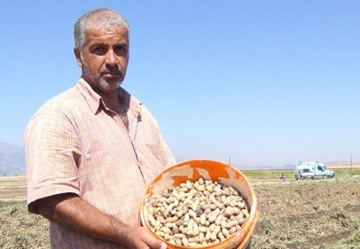 Çiftçiler, verimden memnun