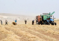 Çiftçilere 2,3 milyar liralık destek ödemesi