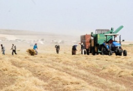 Çiftçilere 2,3 milyar liralık destek ödemesi