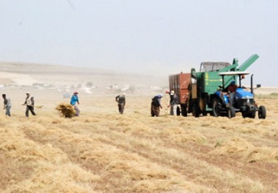 Çiftçilere 2,3 milyar liralık destek ödemesi