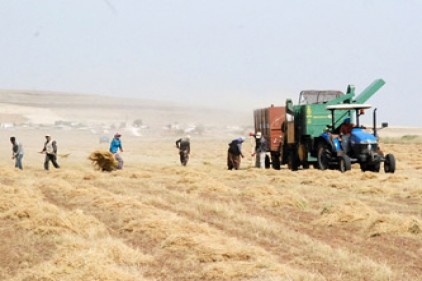 Çiftçilere 2,3 milyar liralık destek ödemesi