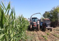 Çiftçilere 284 milyon liralık destek verilecek