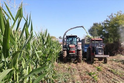 Çiftçilere 284 milyon liralık destek verilecek