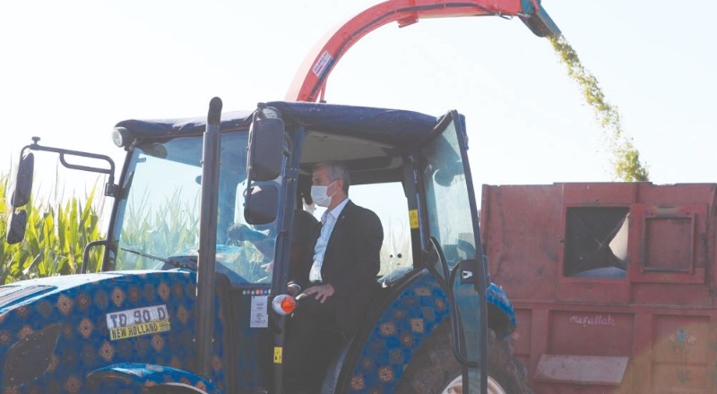 Çiftçilere 25 ton silajlık mısır tohumu dağıtıldı