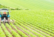 Çiftçilere bu yıl için ödenecek tarımsal destekler belli oldu