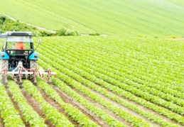 Çiftçilere bu yıl için ödenecek tarımsal destekler belli oldu