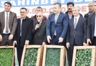 Çiftçiye arpa, buğday, mercimek tohumu ile fıstık ve zeytin fidesi dağıtılıyor