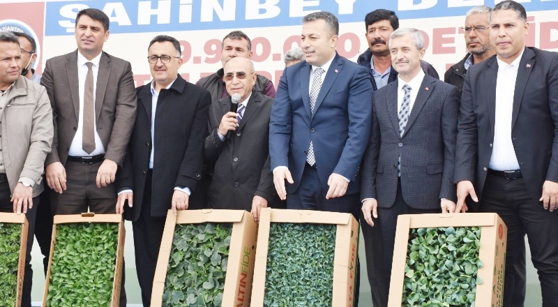 Çiftçiye arpa, buğday, mercimek tohumu ile fıstık ve zeytin fidesi dağıtılıyor