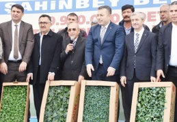 Çiftçiye arpa, buğday, mercimek tohumu ile fıstık ve zeytin fidesi dağıtılıyor