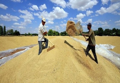 Çiftçinin beklediği fiyatlar açıklandı