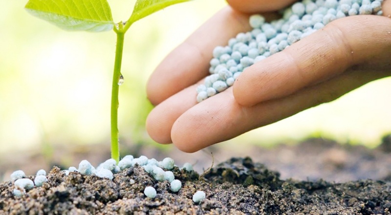 Çiftçinin, besicinin gözü kulağı firmaların yapacağı indirimde!