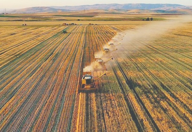 Çiftçinin borcu 62 kat arttı: Tek çare tarlayı satmak
