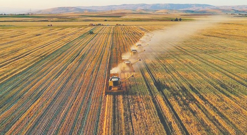 Çiftçinin borcu 62 kat arttı: Tek çare tarlayı satmak