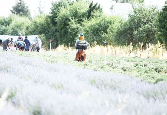 “Çiftçinin borcu 72 kat arttı"