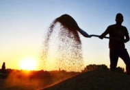 Çiftçinin borcu son bir ayda 3,7 milyar lira arttı