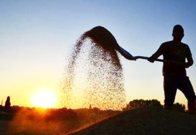 Çiftçinin borcu son bir ayda 3,7 milyar lira arttı