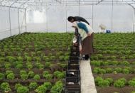 Çiftçinin ekim yapmasını sağlayamazsak tarım krizi yaşarız