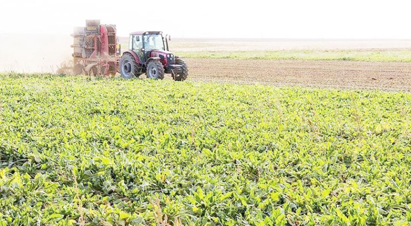 Çiftçinin enflasyonu, yıllık yüzde 21.2 oldu