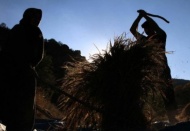 Çiftçinin takipteki kredisi artıyor